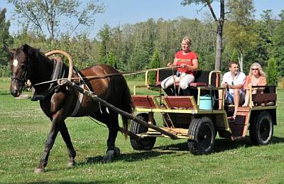 Hevosk�rryajelu P�rnu Maria Talu maatila ajelu ABC matkatoimisto