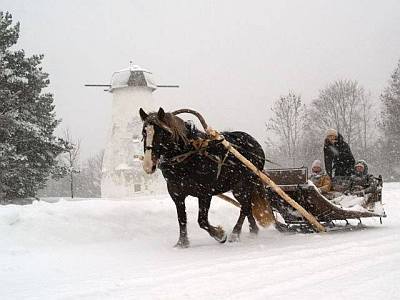 Rekiajelu hevosk�rryajelu P�rnu Maria Talu maatila ABC matkatoimisto