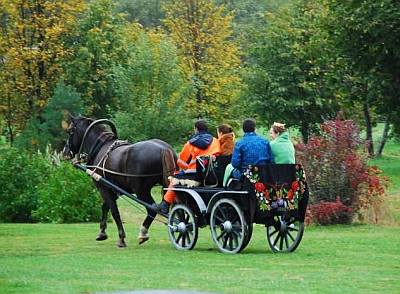 Hevosk�rryajelu P�rnu Maria Talu maatila kes� ABC matkatoimisto