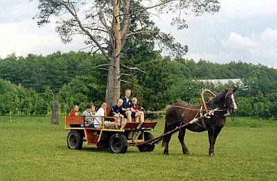 Hevosk�rryajelu P�rnu Maria Talu maatila perhe ABC matkatoimisto