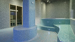 Tallinn Seaport Hotel Tallinna ABC matkatoimisto sauna 3